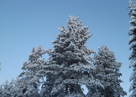 武汉网站设计：处理空白区域——网站设计带有开放感觉_极简慕枫