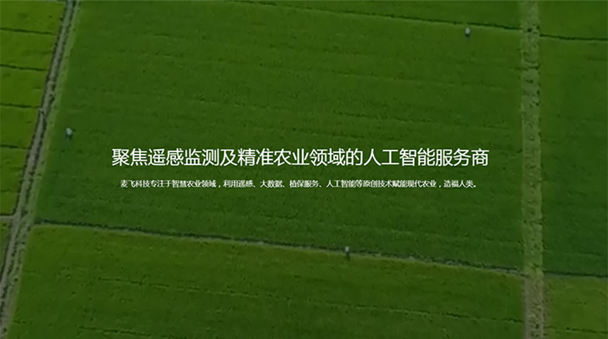 麦飞科技高端网站设计案例（北京）