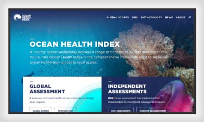 海洋健康指数网站显示了如何在网页设计中使用图形和地面