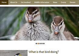 动物园网站的网页设计灵感