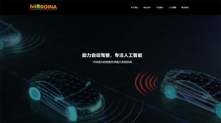 上海莫吉娜信息科技高端网站建设（上海）