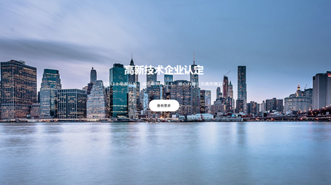 铅华知识产权代理设计网站案例(上海)