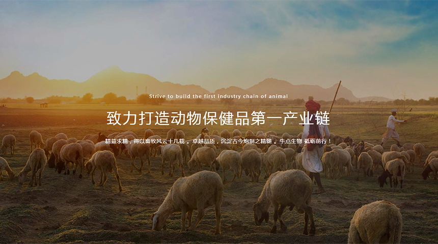 牛点生物高端设计网站案例（潍坊）