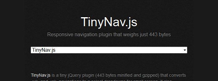 TinyNav.js